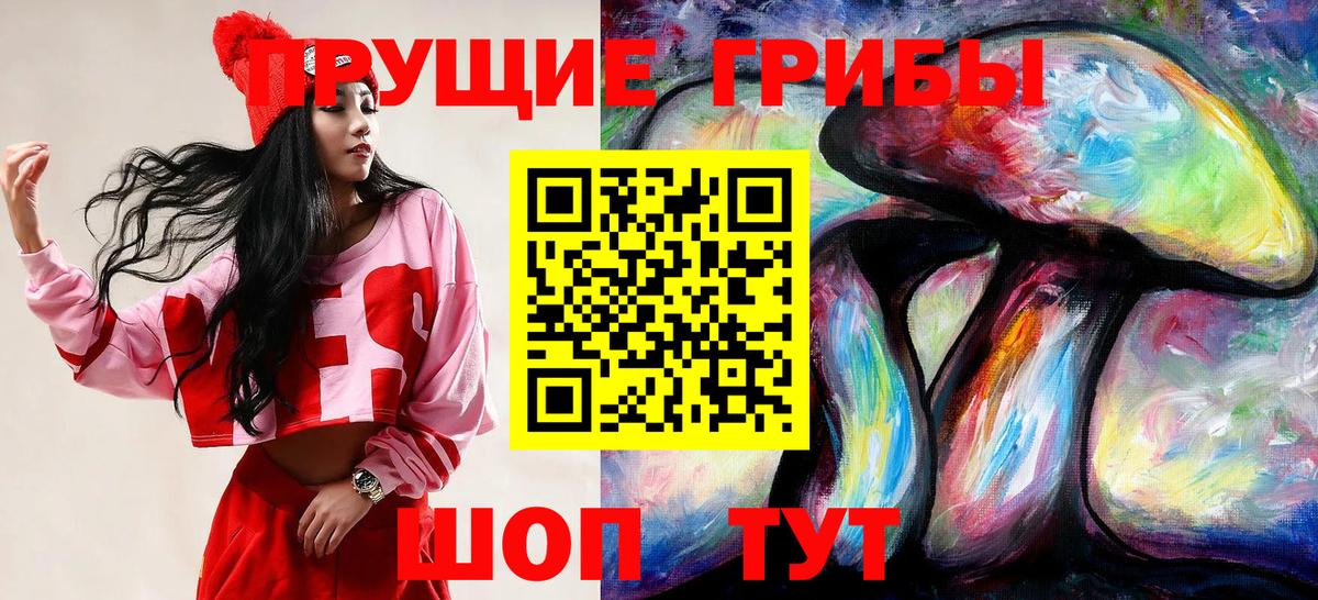 Дедовск  Псилоцибиновые грибы GOLDEN TEACHER  Вход с VPN 